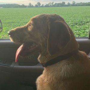 Meet your Posher, Justin